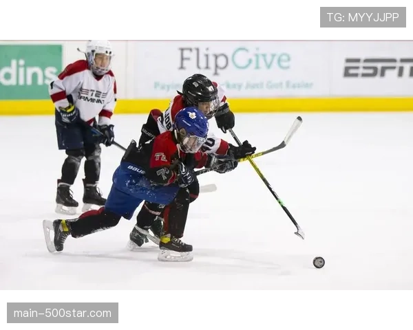 多伦多学区将冰球历史与文化纳入中学体育选修课程